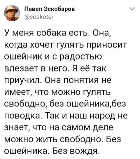 bdhbf5.webp