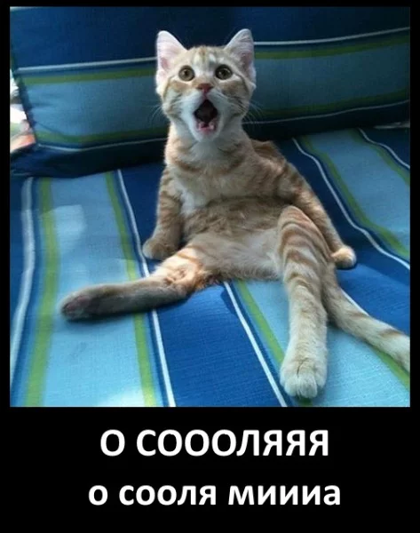 bdhdc3.webp