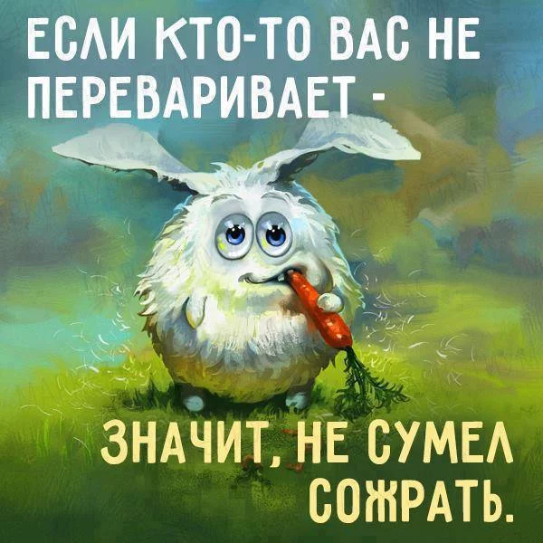 bdheb8.webp
