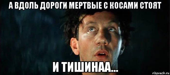 bdj3bj.webp