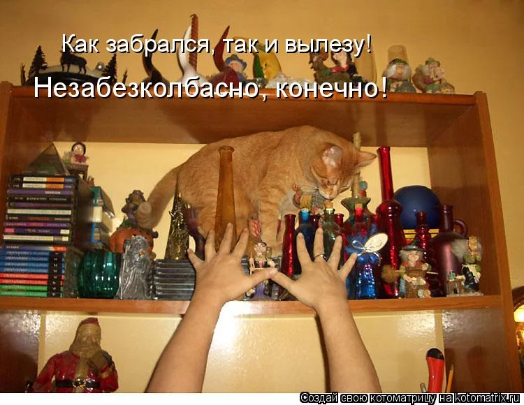bdj4dj.webp