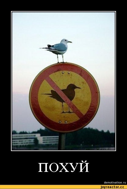 BE%D1%80%D1%8B-%D0%9F%D0%9E%D0%A5%D0%A3%D0%99-4385.jpg