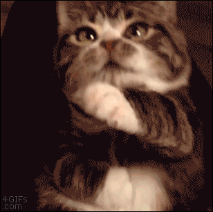 be0a1d49cf2608890de.gif