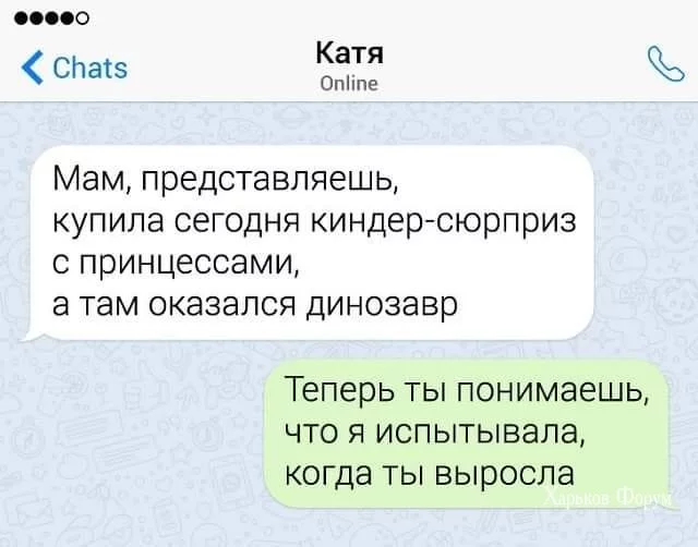 be26c801d763d339.webp