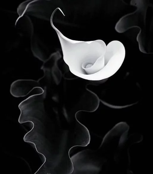 be2be507d51b62faf5ccbeafaa4aa028f5ff7c24.webp