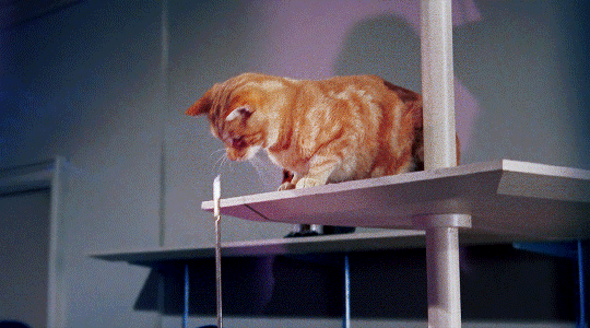 be3c7b201a7be215d9e52b633f7947ebf48bea00.gif