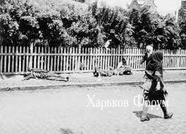 be42264e35185181.webp