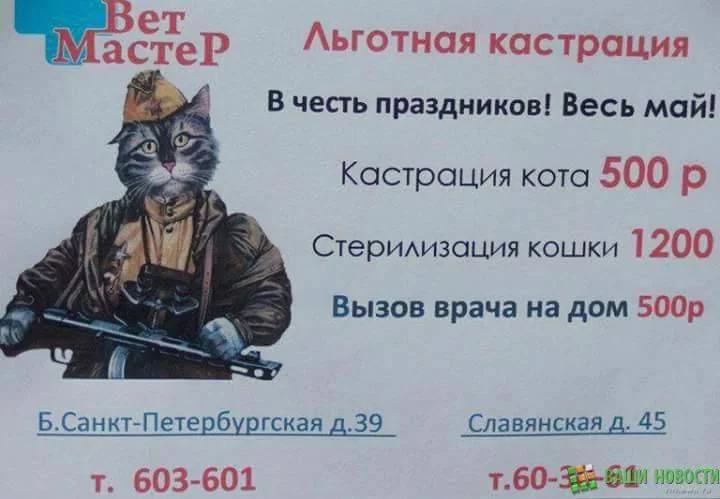 be6jbg.webp