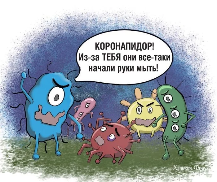 be7722c868007f8a516f3.webp