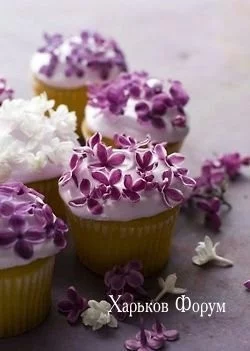be965bb6792bf5d04f7.webp
