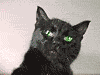 be9bdc.gif