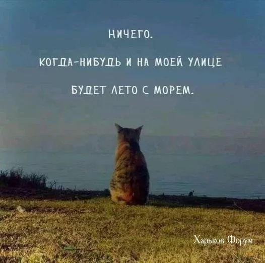 beac60824900620fb5e64.webp