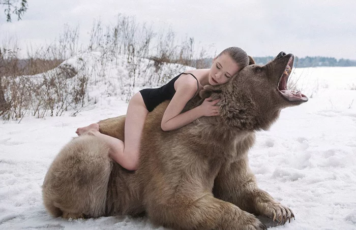 bear-stepan-16.webp