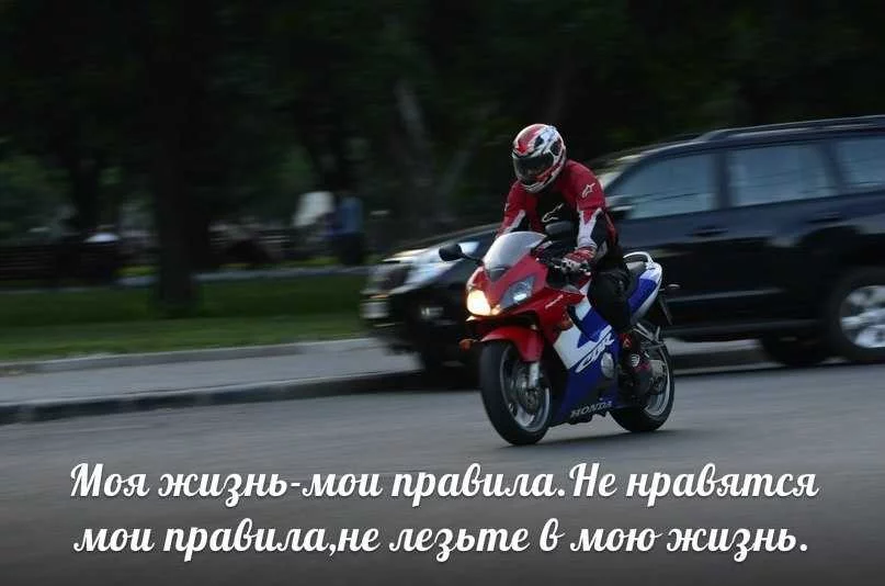 bec5283ffc7ab649fc0c2762aaea12b9.webp
