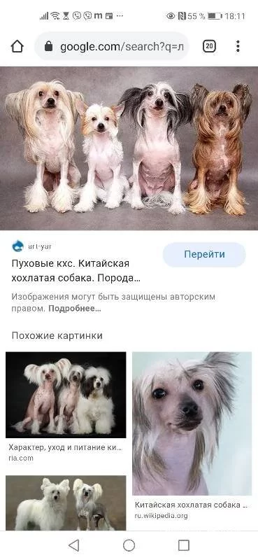 bedf1b1fef8905bec43b6.webp
