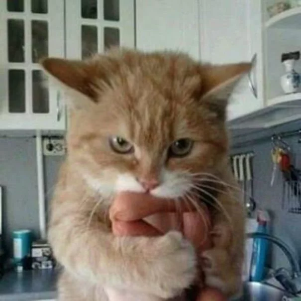 beea0f.webp