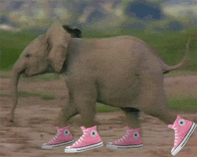 beeej7.gif