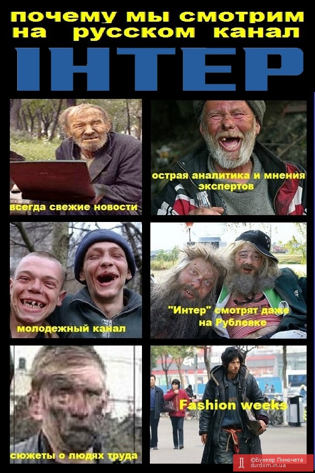 beehc8.jpg