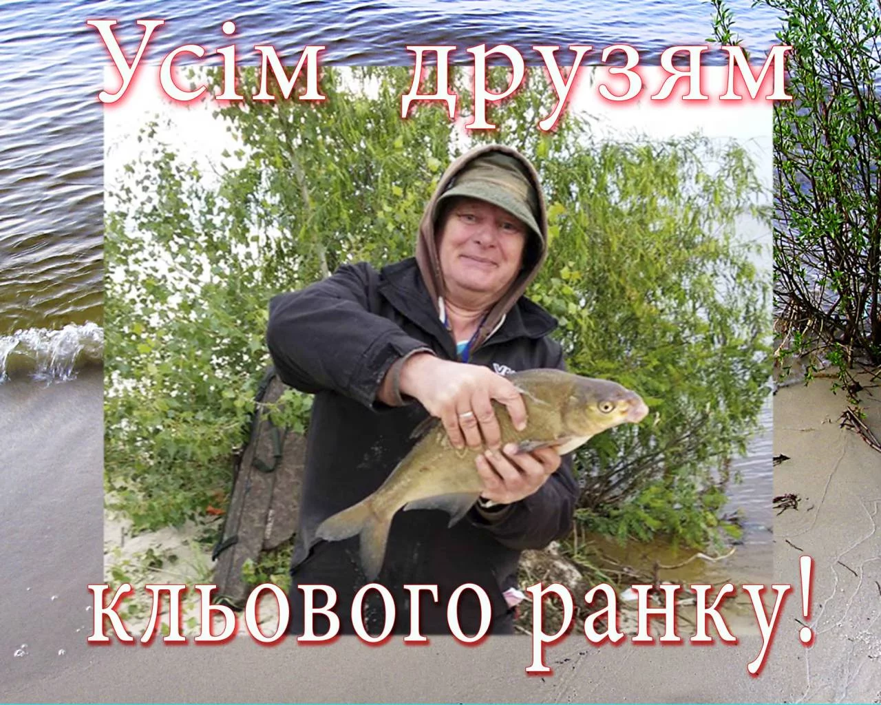 beejg1.webp