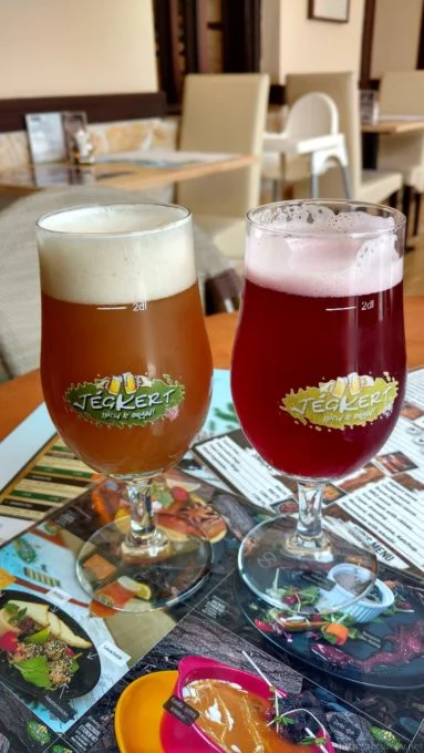 beer_budapest_rotozeev.net_23-383x680.webp