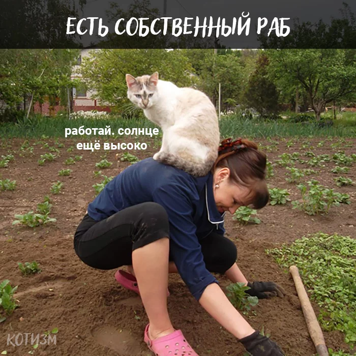 bef2ga.webp