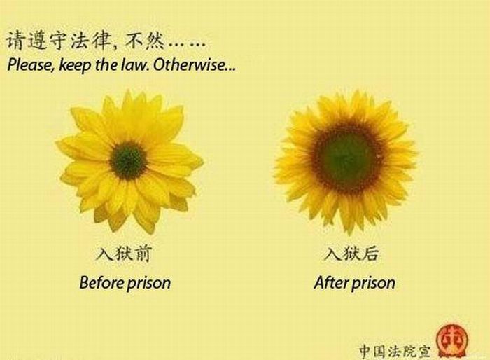 before-prison-after-prison.jpg