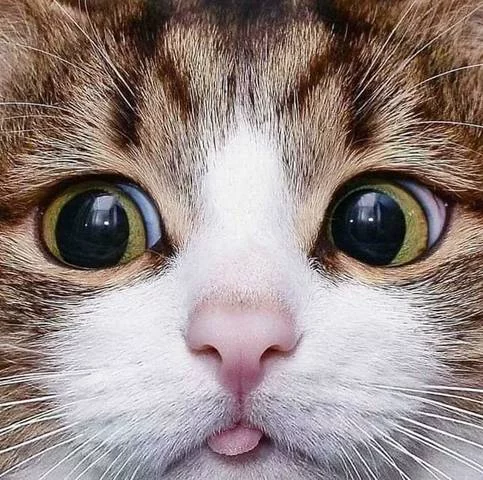 begca7.webp