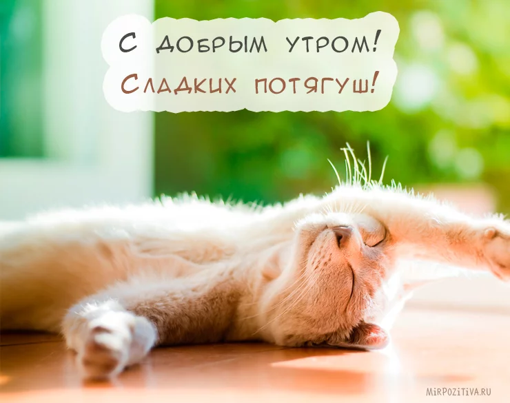 beghb0.webp