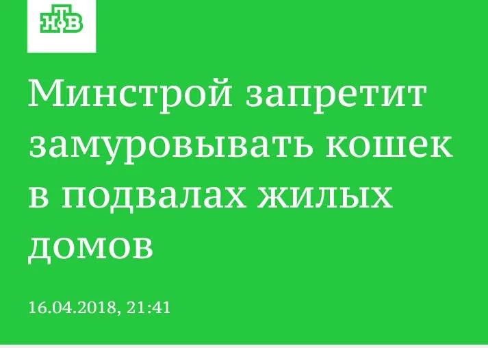 beh4ca.webp