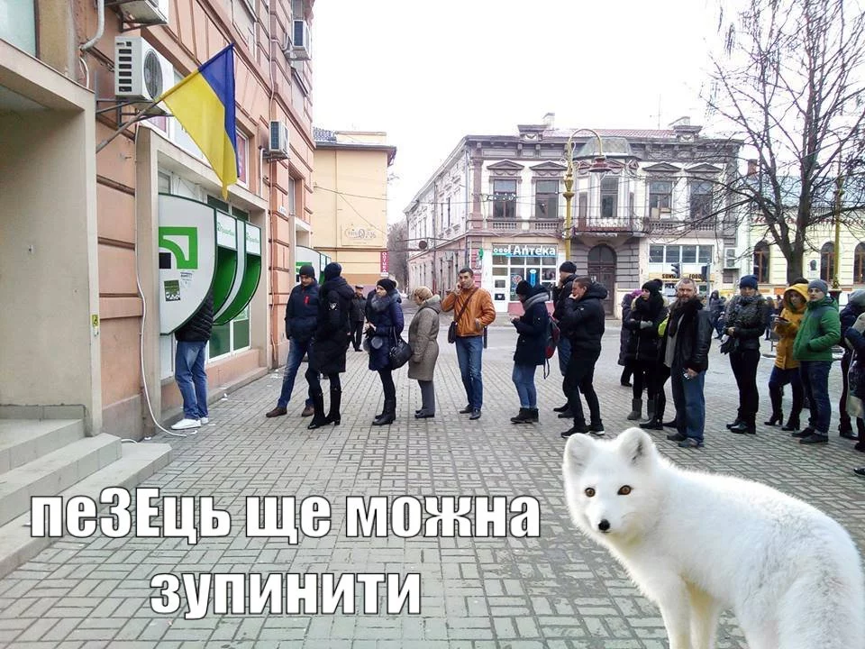 beha4e.webp