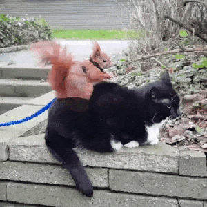 behcb9.gif