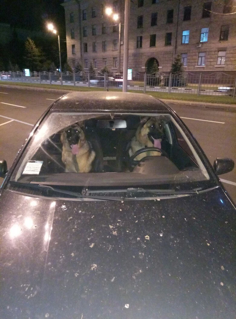 bej6eh.webp bej6eh.webp