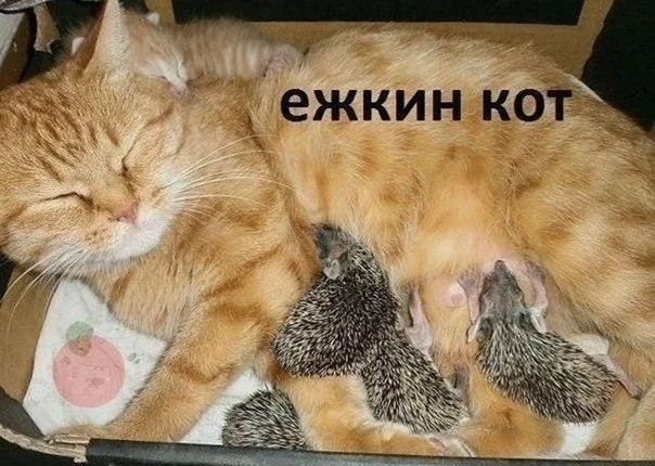 bejc8g.webp