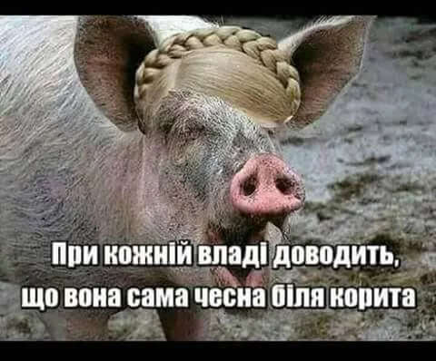 bejeh2.webp
