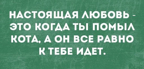 beORsV_5qSg.webp