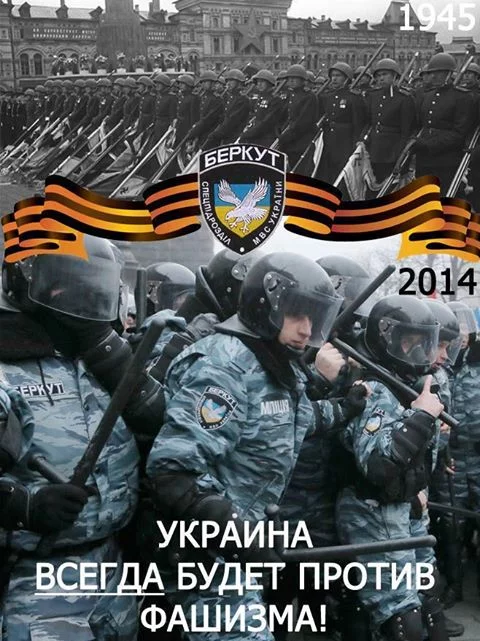 berkut_fash.webp