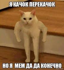 Без названия (3).jpeg