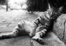 Без названия.webp