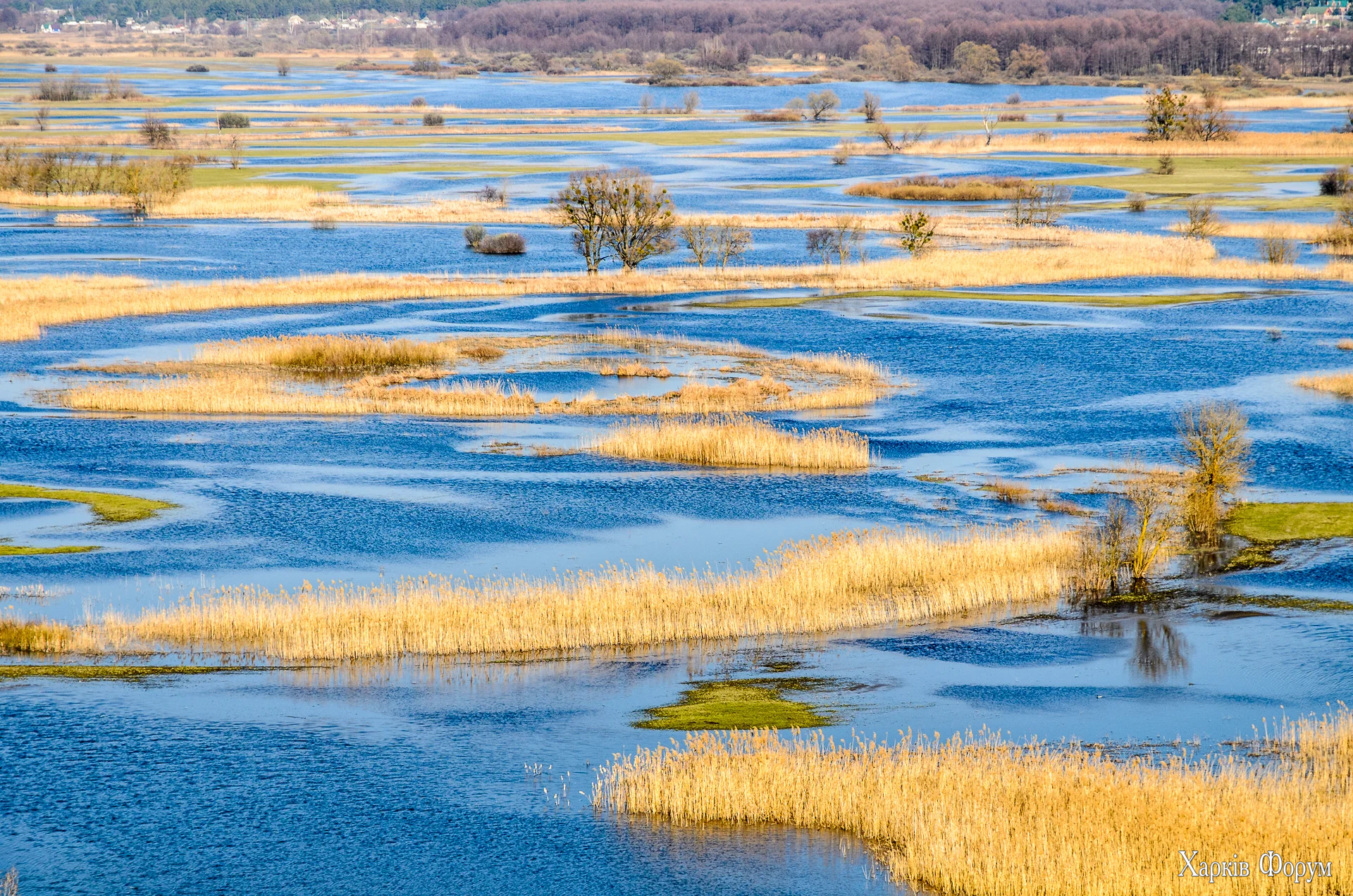 без имени-80.webp