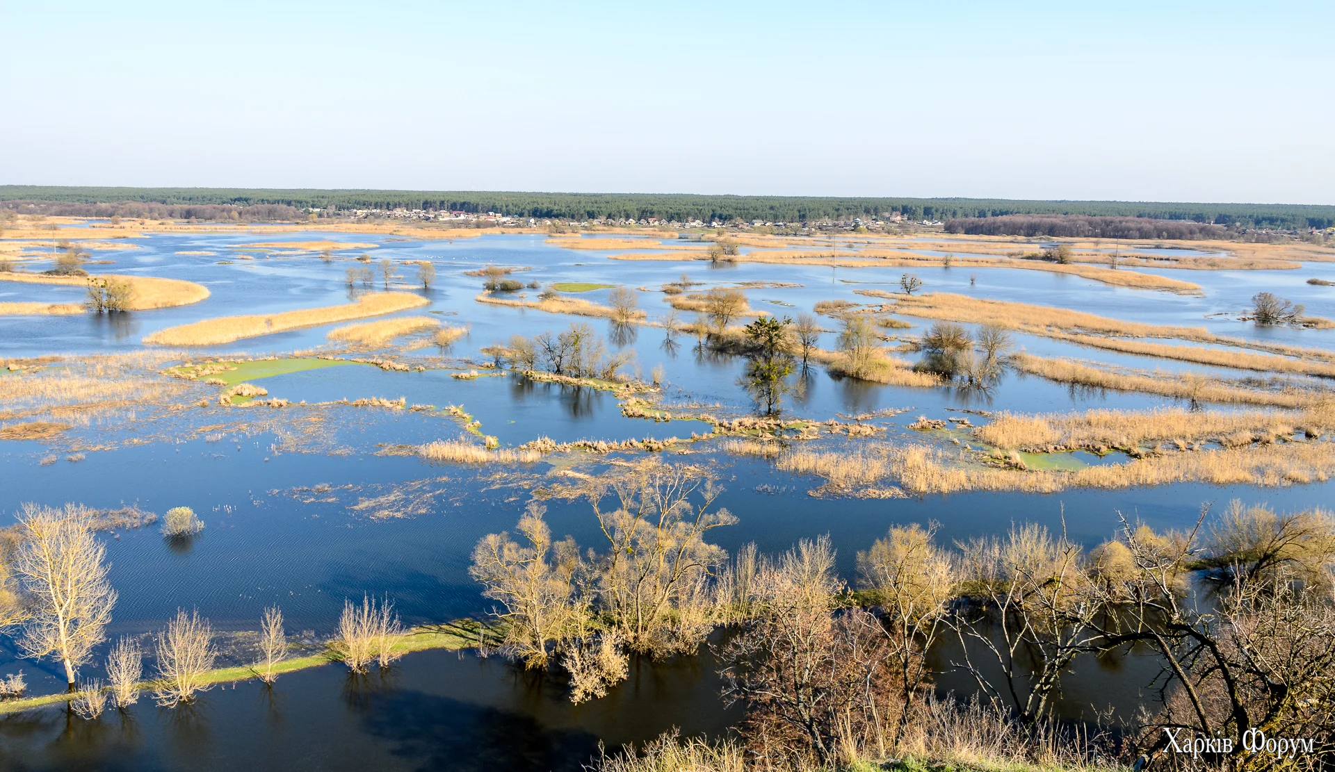 без имени-82.webp