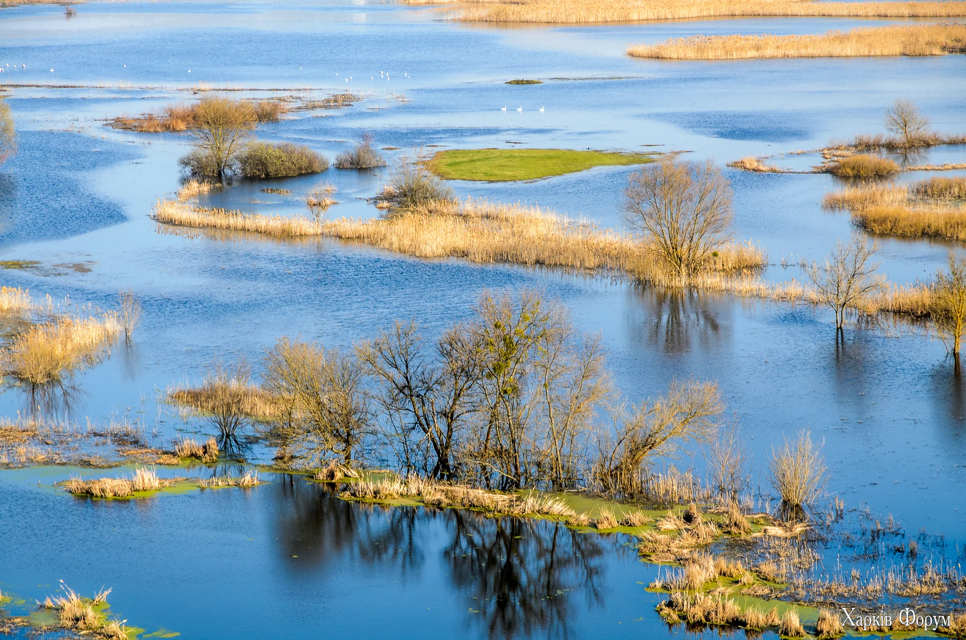 без имени-86.webp