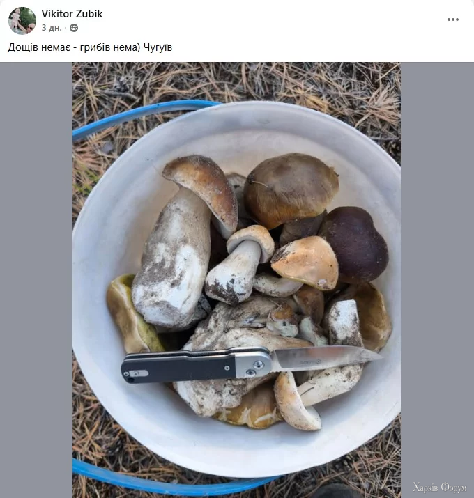 грибы Харьковщина