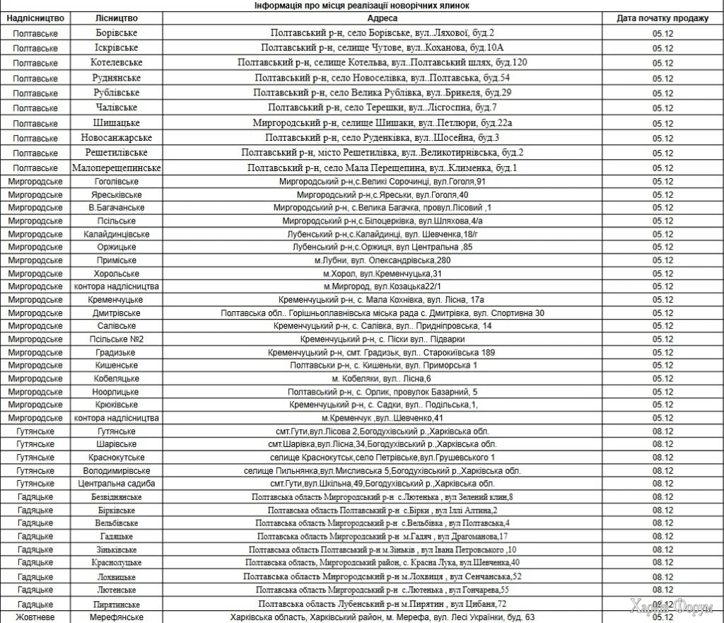 где лесничие будут продавать елки на Харьковщине