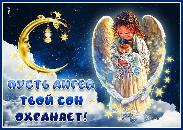 bf0c3511673bb8df3242.webp