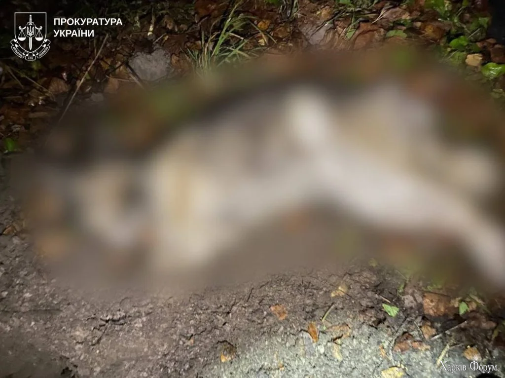 застрелили собаку на Харьковщине