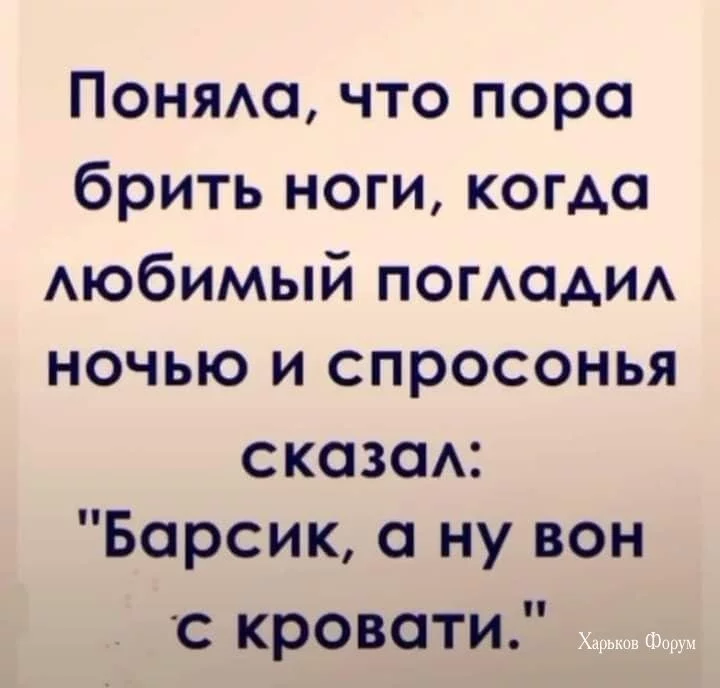 bf13027182137f0215f62f.webp