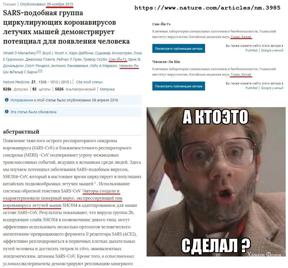 bf18716824eadfbf505cc213.webp