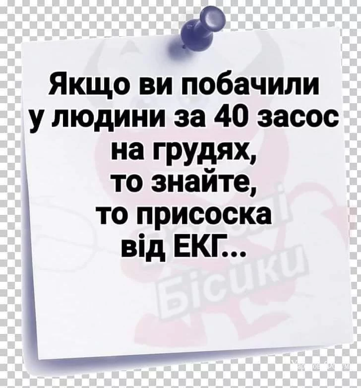 bf2dbb6e308ec24765e669a.webp