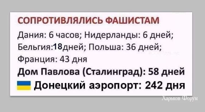bf39478849190fe0.webp