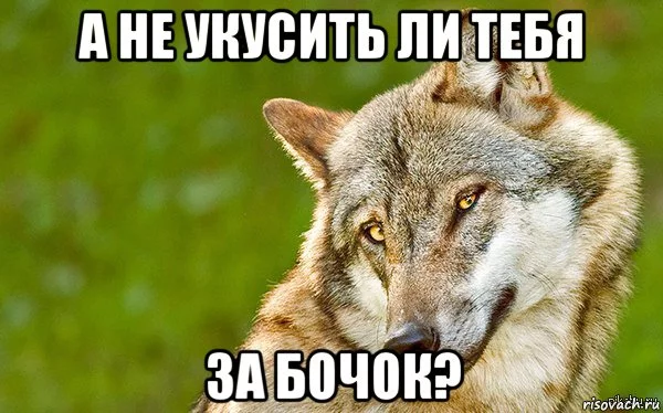 bf3gjd.webp